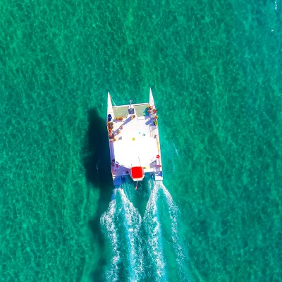 hakuna matata in west palm beach