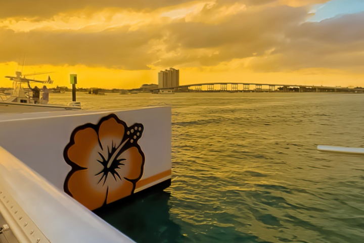 a bridge over a body of water
