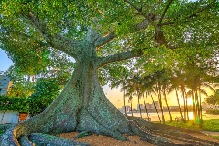 Bike Tour with Visit Palm Beach