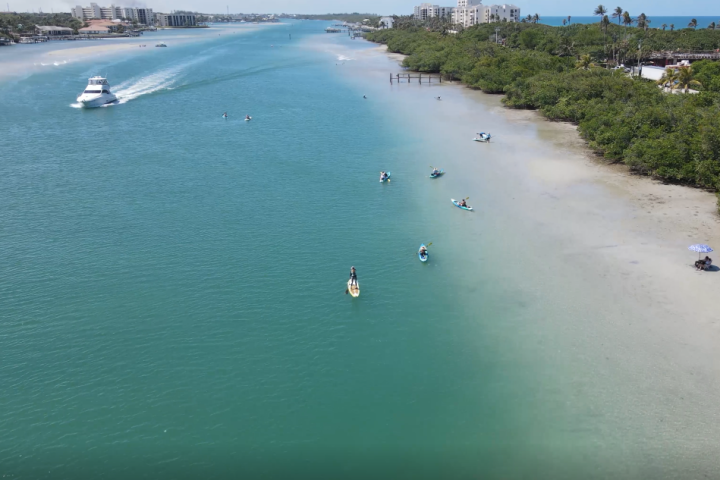 a group of people swimming in a body of water
