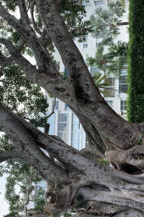 guided historical bicycle tour