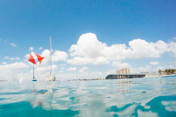 a large body of water