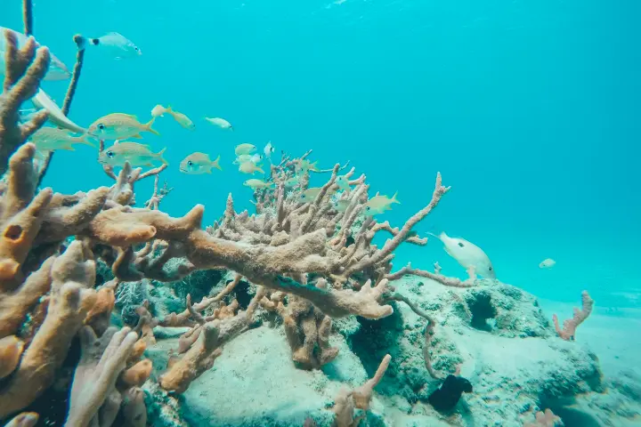 underwater view of a swimming pool