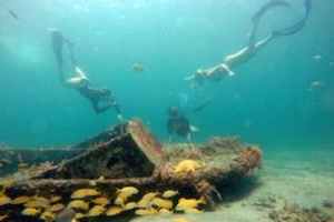 Snorkeling Tour with Visit Palm Beach