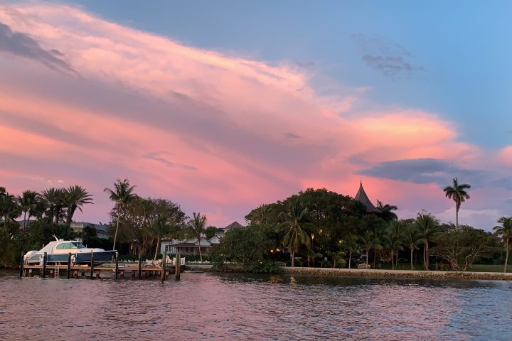 a large body of water surrounded by palm trees