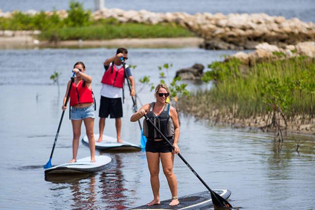 a group of people rowing a boat in a body of water