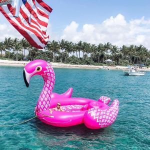 Float on a Flamingo