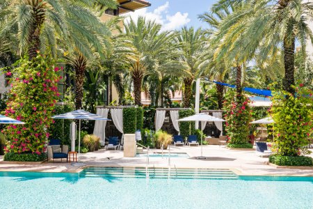 a pool next to a palm tree