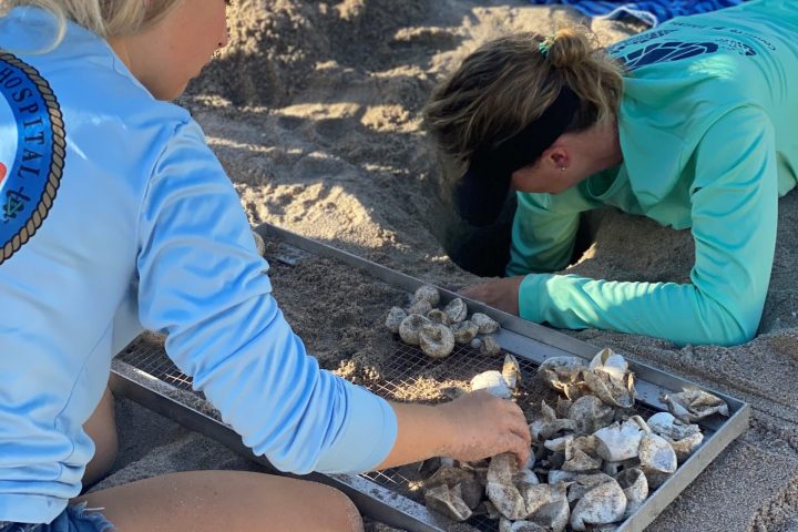 a woman sitting at a beach