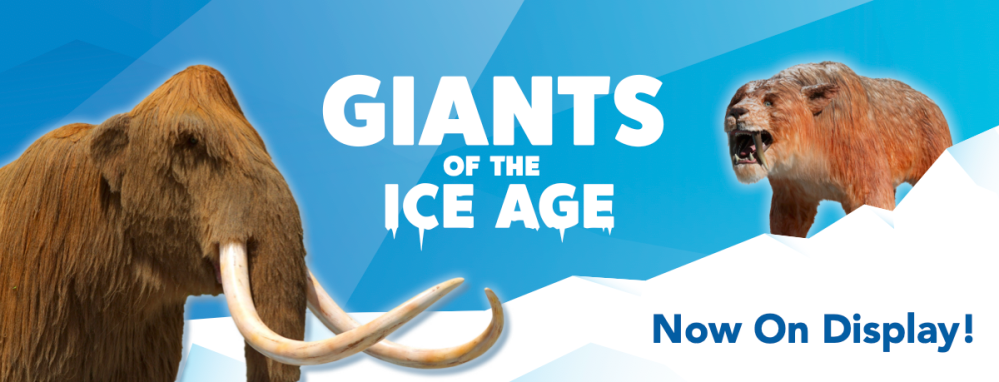 Griants of the Ice Age exhibit at COX Science Center & Aquarium