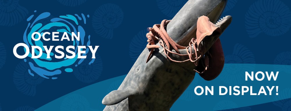 A whale model with saddle, text 'Ocean Odyssey Now on Display' on blue background with swirl designs.