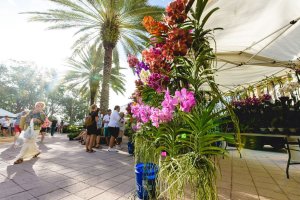 West Palm Beach GreenMarket
