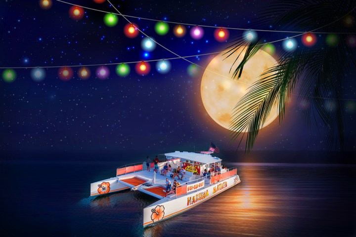 moonlight cruise