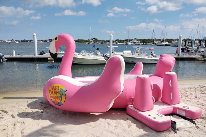 a person in pink is sitting on the beach