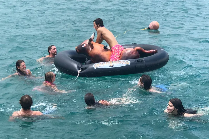 a group of people swimming in a body of water