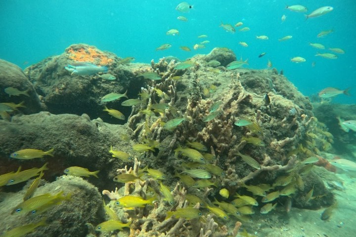 underwater view of a large rock