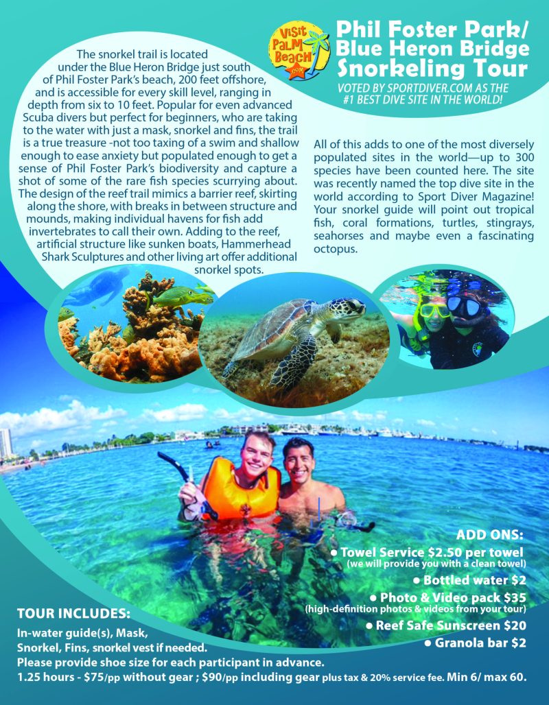 Snorkeling Group Tour Palm Beach