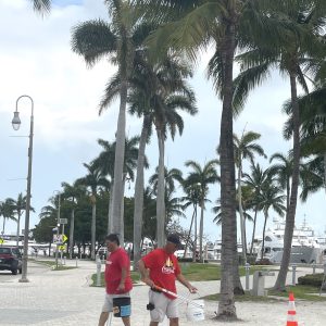 a group of people standing next to a palm tree in the snow