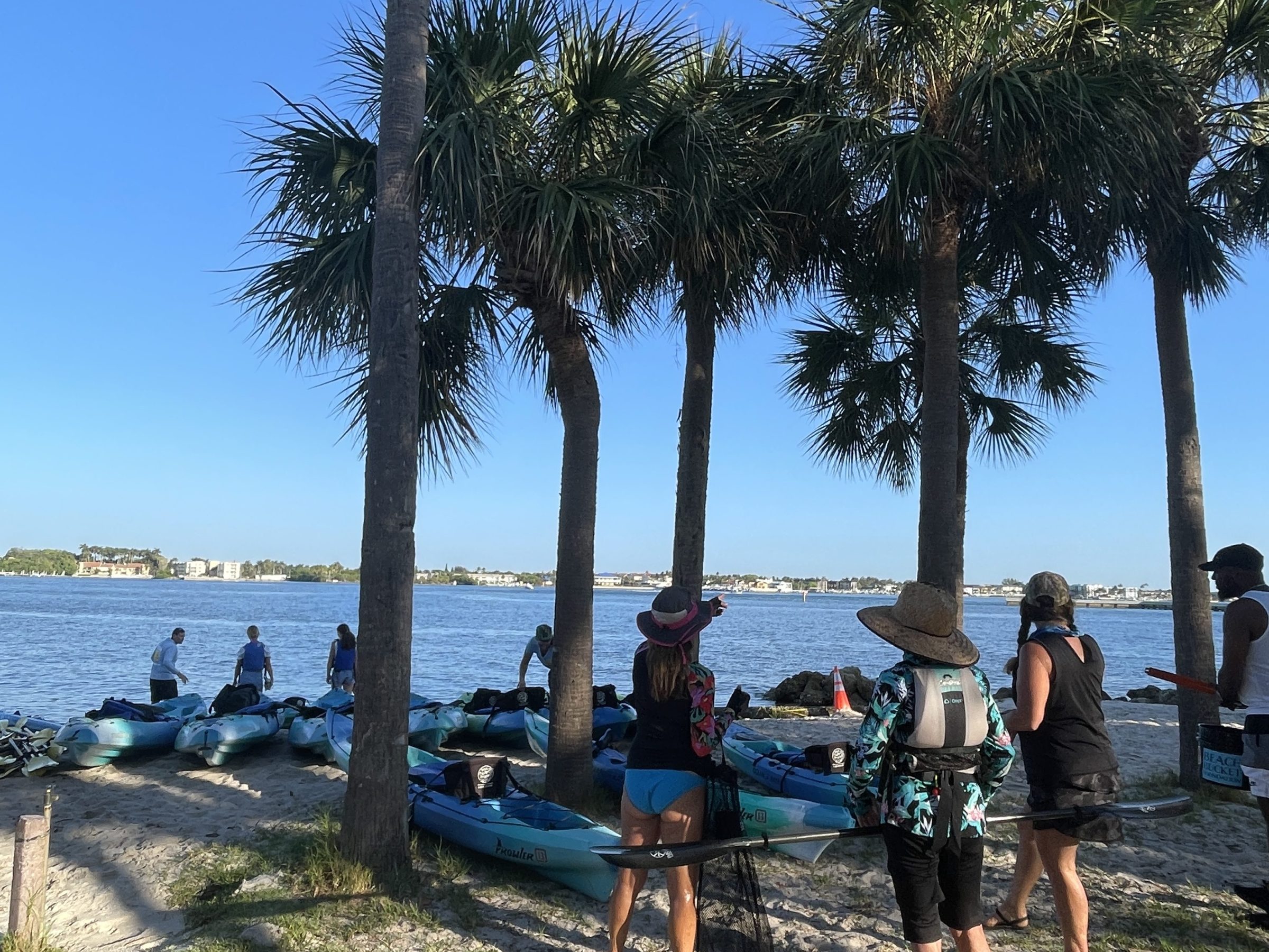 a group of people on a beach with a palm tree