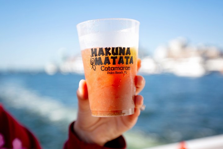 a person holding a cup of water