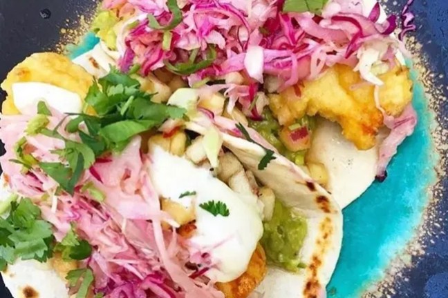 Two fish tacos with pink slaw and cilantro on a black plate with a blue center.