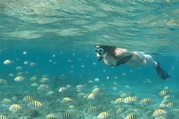 Snorkeler swims above colorful fish in clear ocean water.
