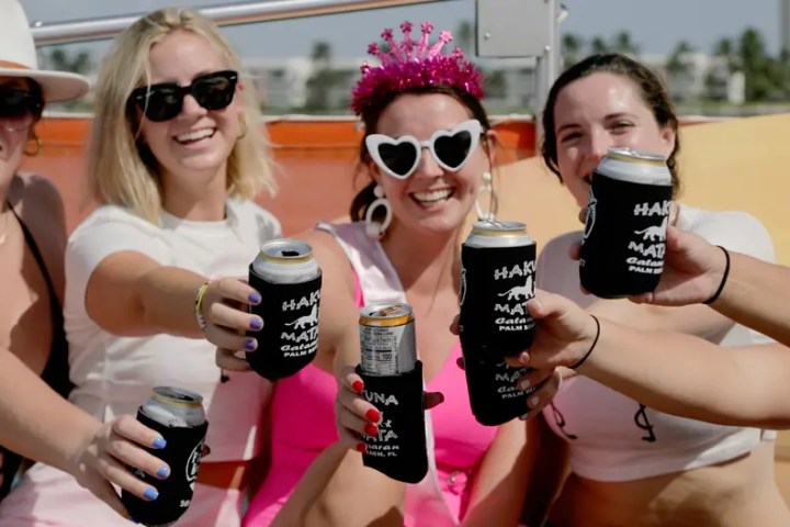 Group of four women smiling and toasting with beverage cans on a sunny day.