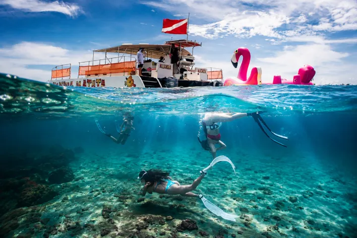 Snorkeling & Swim Adventure Catamaran Cruise aboard Visit Palm Beach's Hakuna Matarta