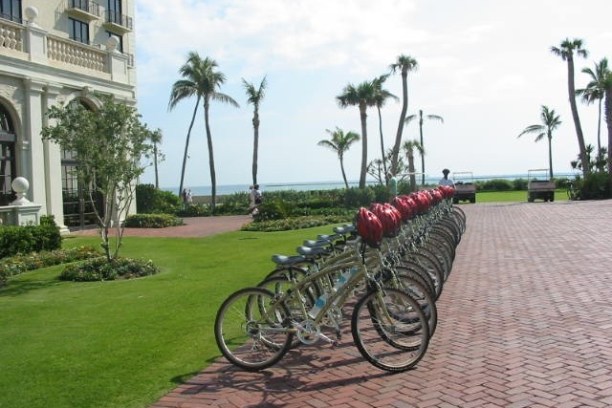 Row of bicycles with red helmets on a brick path by a garden and palm trees.