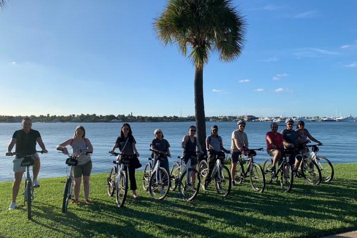 Group of people with bicycles by a palm tree near water.