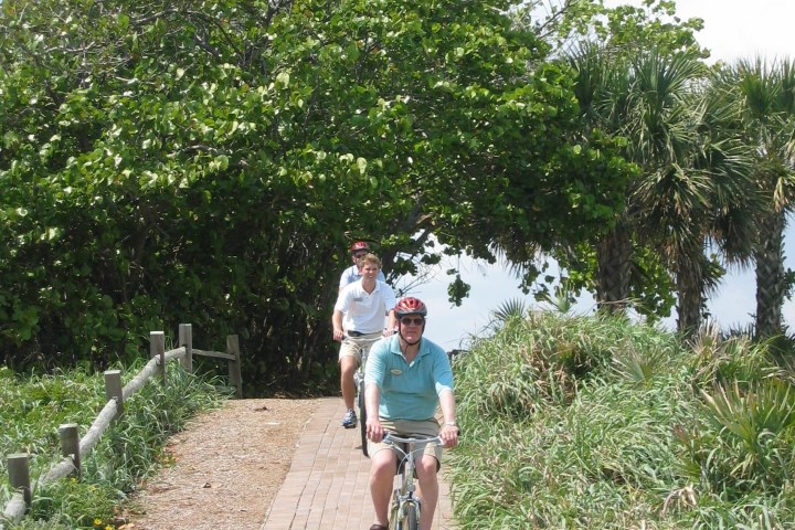 Two people biking on a wooden path surrounded by lush green trees.