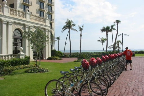 Row of bicycles with helmets lined up outside a building near palm trees and the sea.